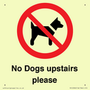 no-dogs-upstairs-please-~
